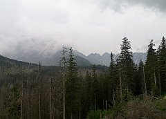 092_p20_IMG_20250616_133709