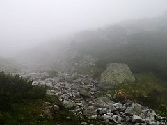 014_p20_IMG_20250617_104554