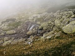 050_p20_IMG_20250617_121222