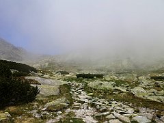 057_p20_IMG_20250617_121919