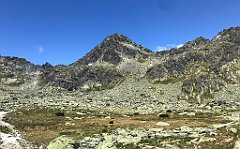 094_ip_250617_IMG_9758