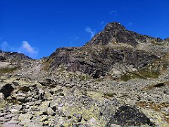 103_p20_IMG_20250617_130431