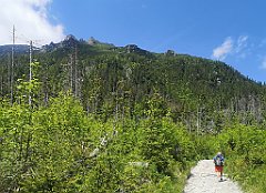 025_p20_IMG_20250618_111549