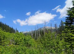 026_p20_IMG_20250618_111613