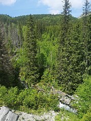 032_p20_IMG_20250618_120658