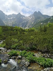 046_p20_IMG_20250618_123737