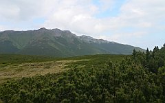 098_p20_IMG_20250618_144120