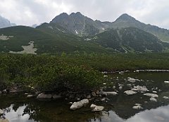 105_p20_IMG_20250618_144932