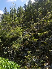 050_p20_IMG_20250619_104655