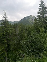 072_p20_IMG_20250619_122207