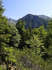 009_p20_IMG_20250620_094005