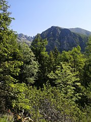 010_p20_IMG_20250620_094007