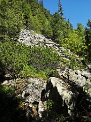 012_p20_IMG_20250620_094105