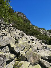 020_p20_IMG_20250620_094945