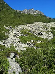 033_p20_IMG_20250620_100057