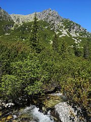 035_p20_IMG_20250620_100636