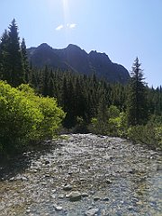 037_p20_IMG_20250620_100646