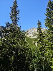 038_p20_IMG_20250620_103233