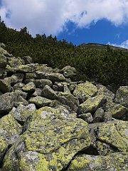 019_p20_IMG_20250621_111711