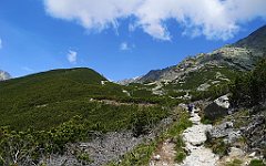 024_p20_IMG_20250621_112848