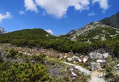 027_p20_IMG_20250621_113049