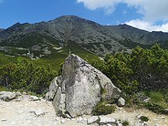 038_p20_IMG_20250621_113449