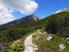 039_p20_IMG_20250621_114403