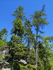 036_p20_IMG_20250622_094239