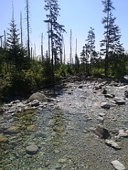 069_p20_IMG_20250622_100933