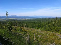 008_p20_IMG_20250623_084947