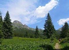 044_p20_IMG_20250623_123704