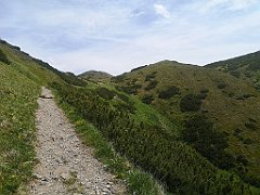 087_p20_IMG_20250623_135601